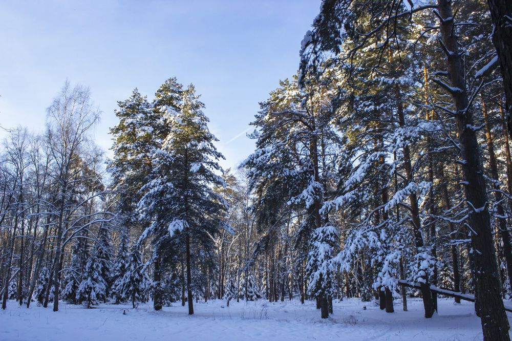 Photograph by  Vladimir