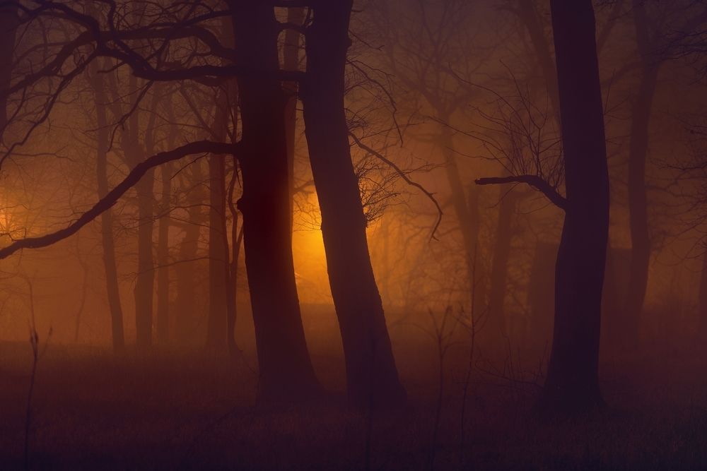 Туманная ночь