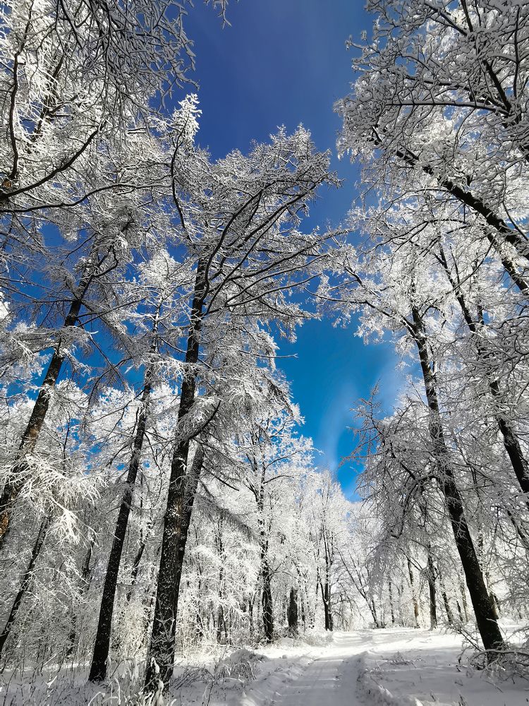 Photograph by Татьяна Рыжова