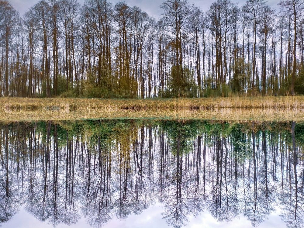 Фотография автора Андрей