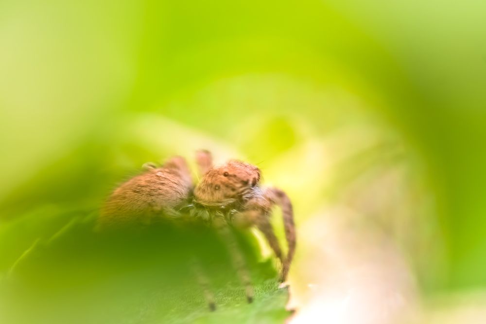 Photograph by Ata Hassanzadeh.D