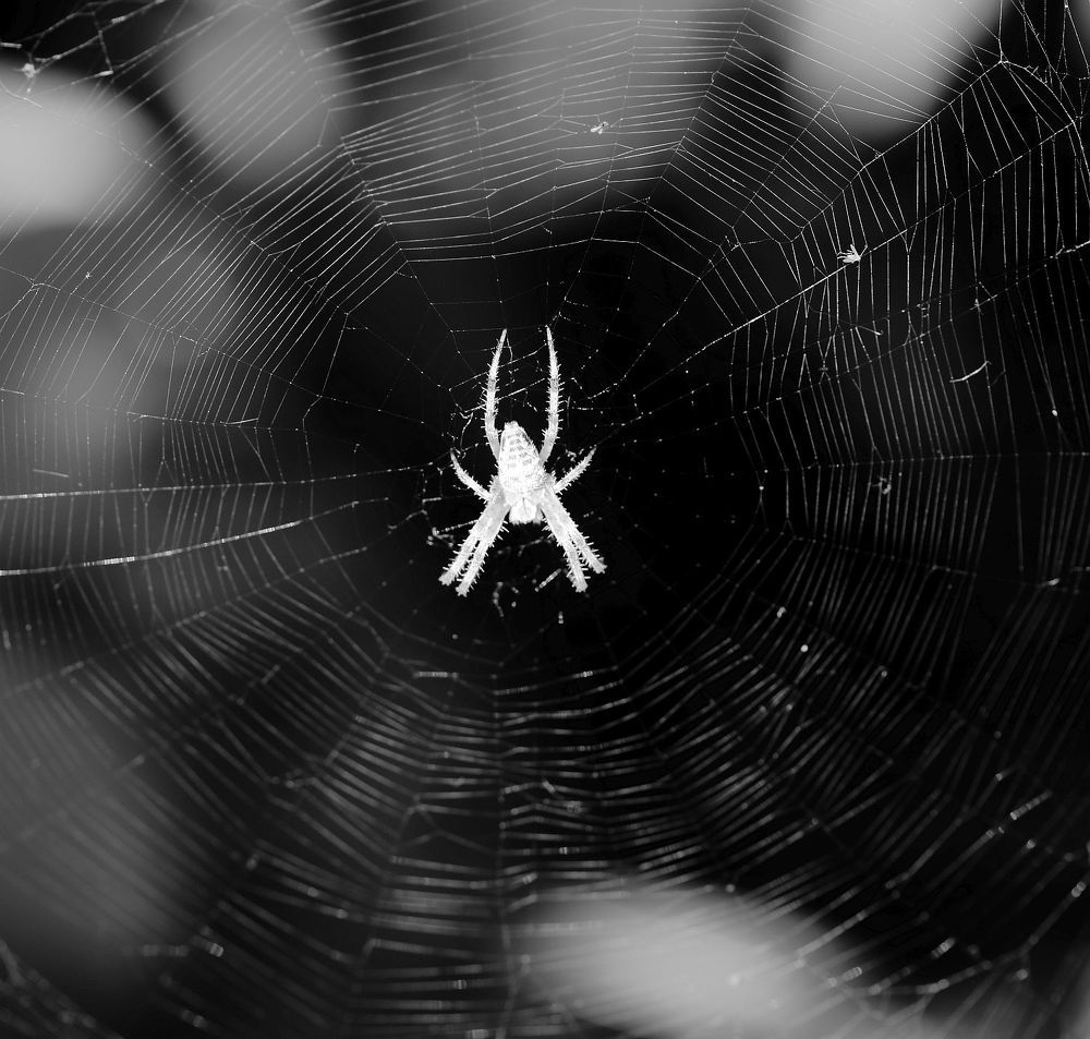 Photograph by Юрий Варюхин