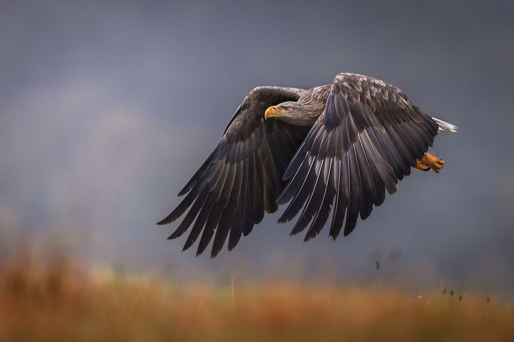 Photograph by Pawel Kawecki