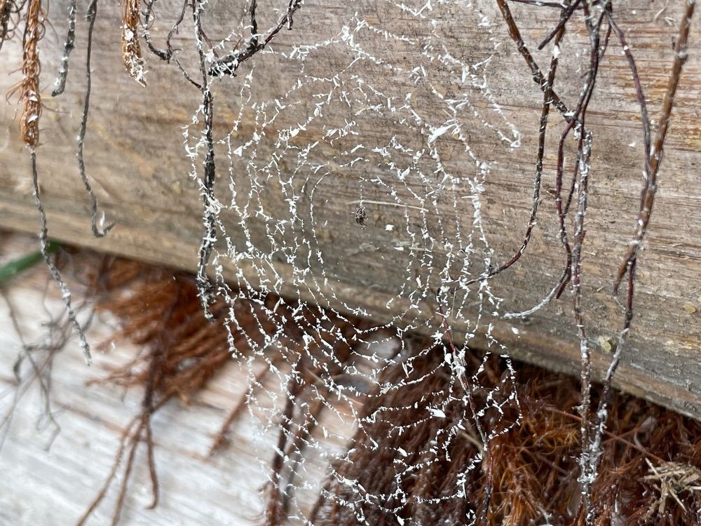 Photograph by Сергей Волков