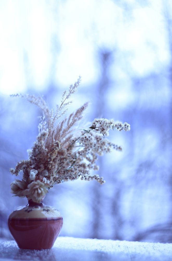 Photograph by Milla Luca