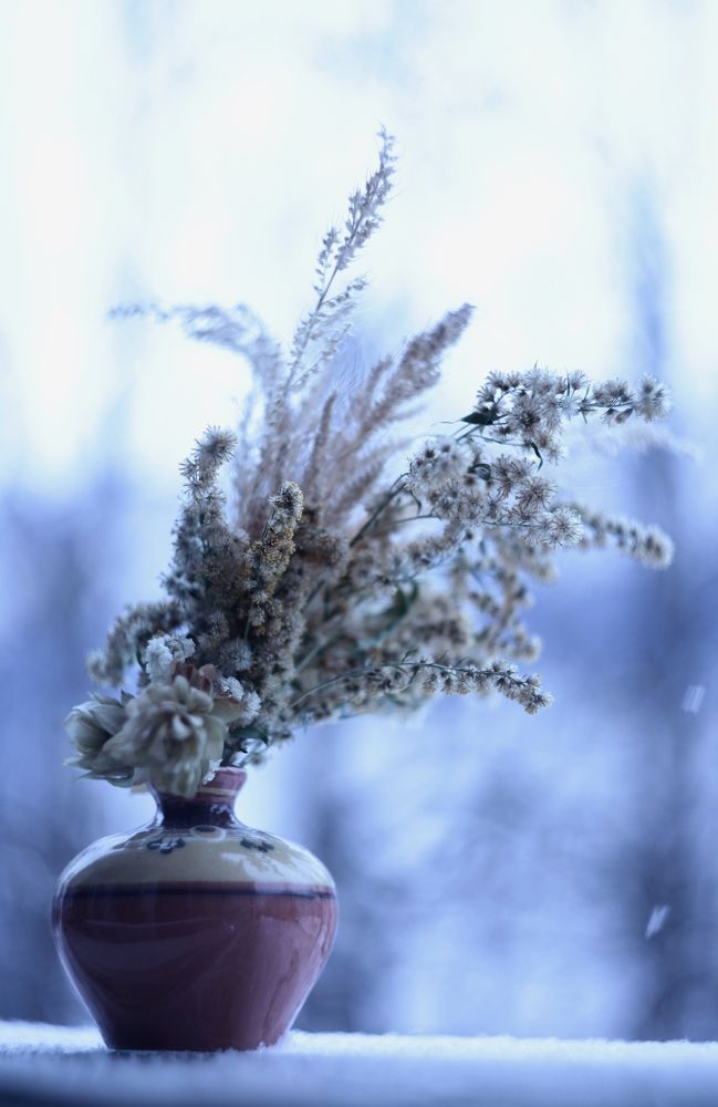 Photograph by Milla Luca