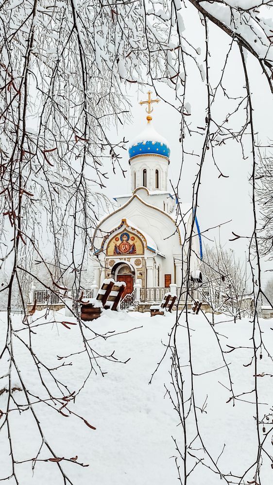 Фотография автора Марина Гусева