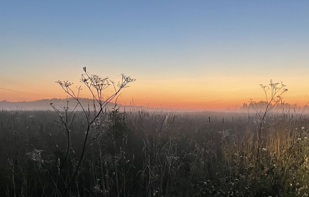 Photograph by Сергей Волков