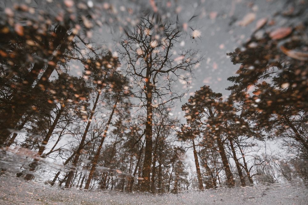 Фотография автора Андрей Воробьёв