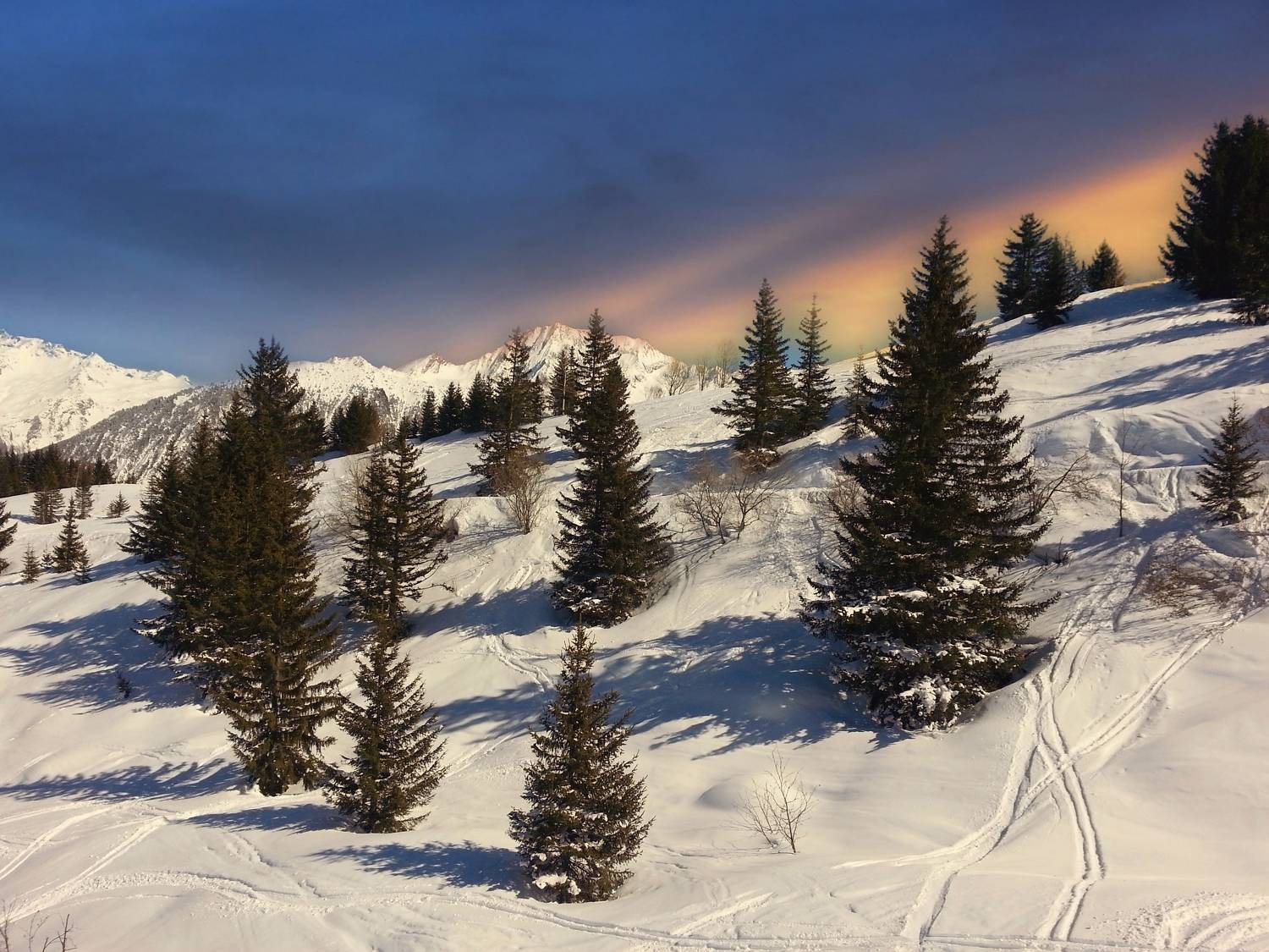 Photo #6944558