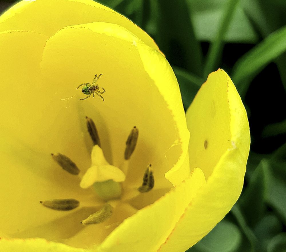 Фотография автора Ирина Лукьянчик