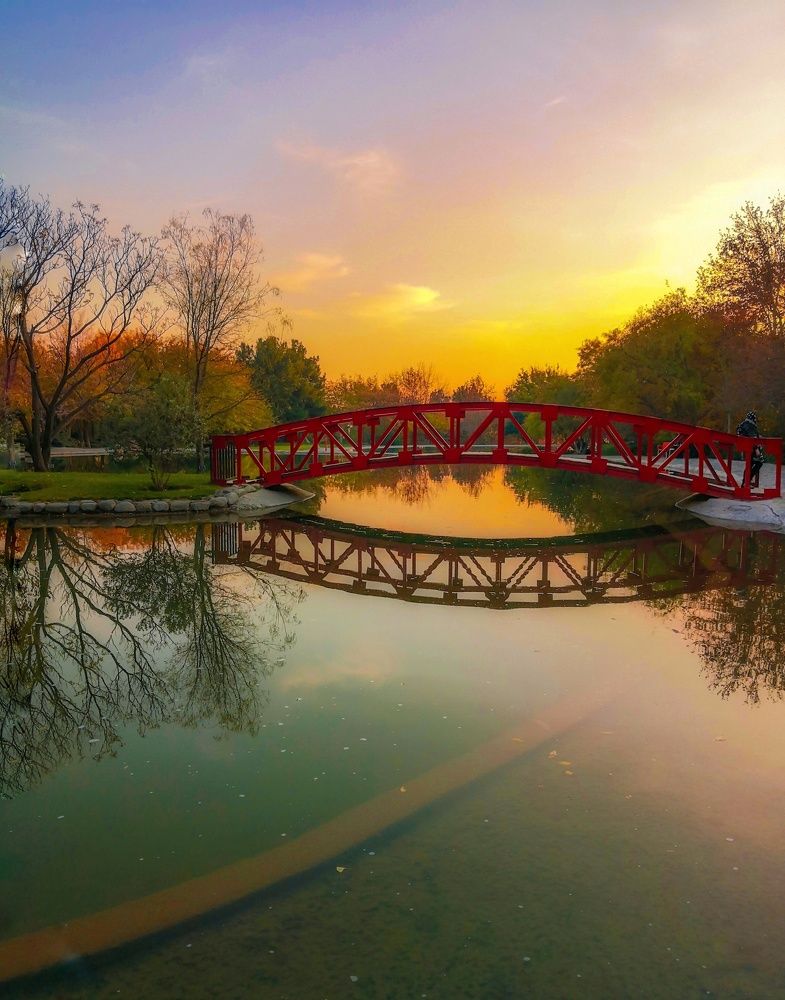 Фотография автора Zahra Seyedmorti