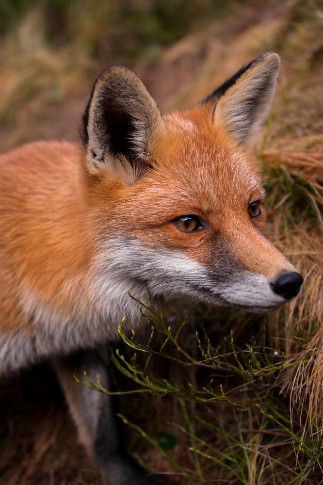 Photograph by Filip Micunda