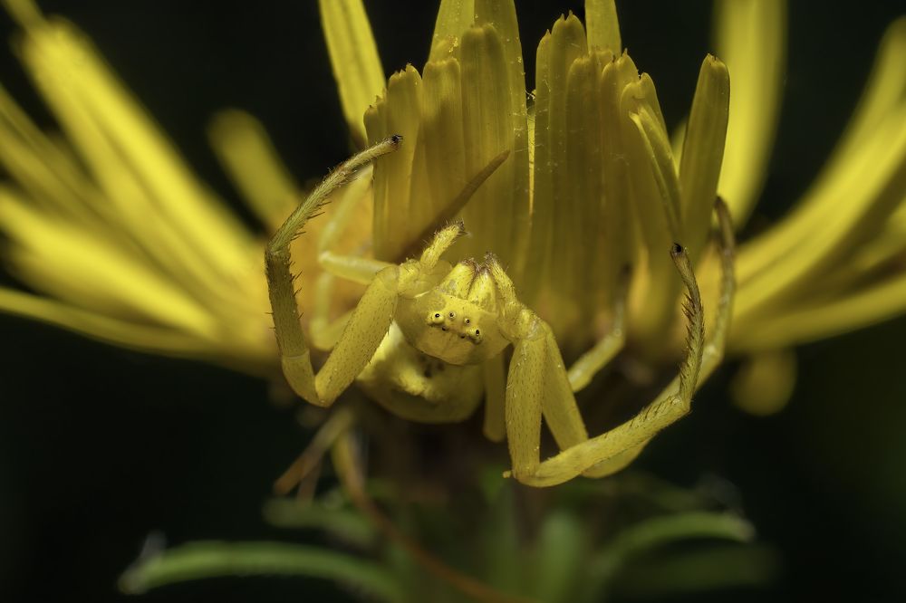 Фотография автора Eimar Kull