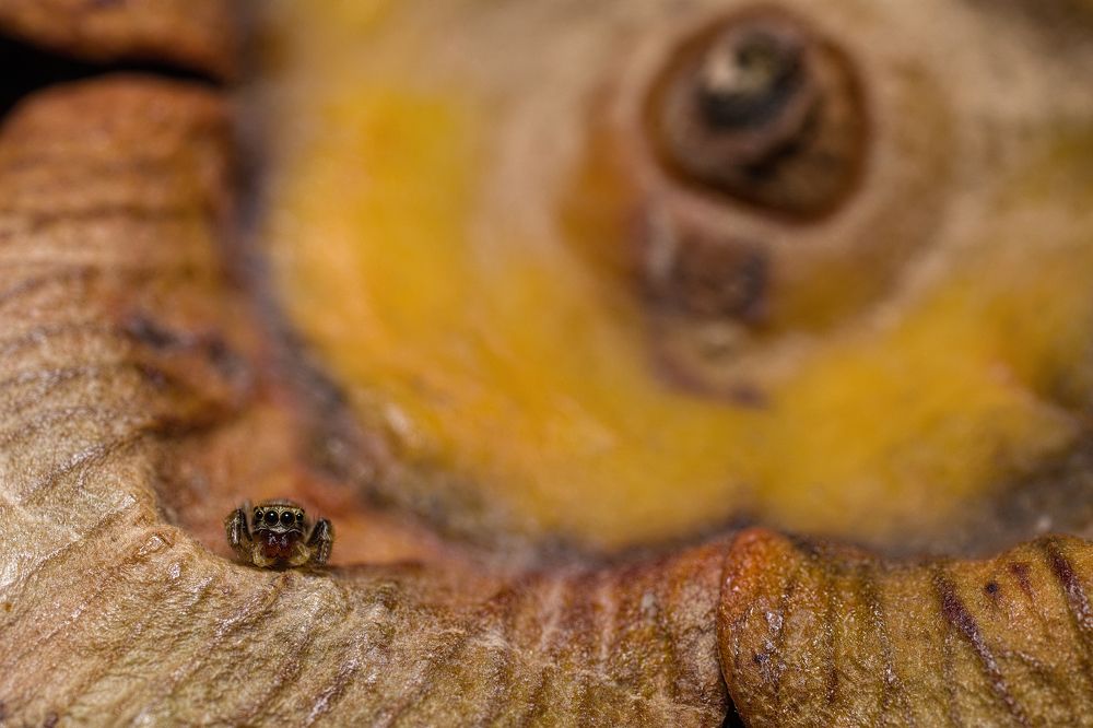 Фотография автора Eimar Kull