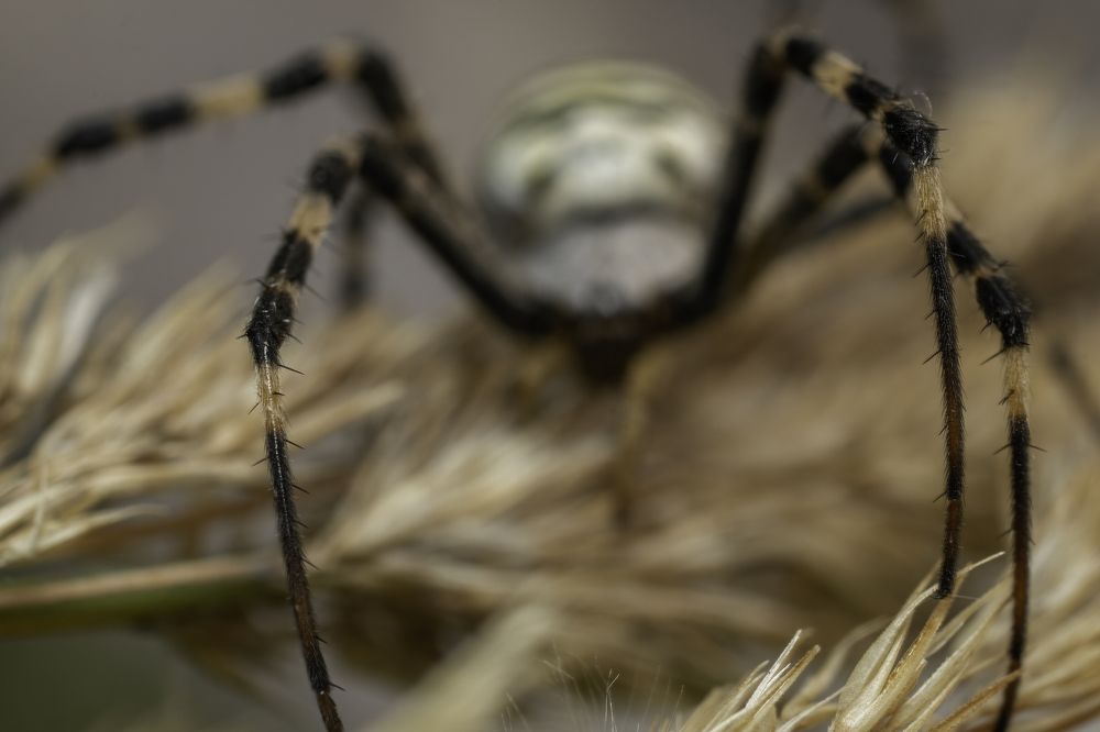 Фотография автора Eimar Kull