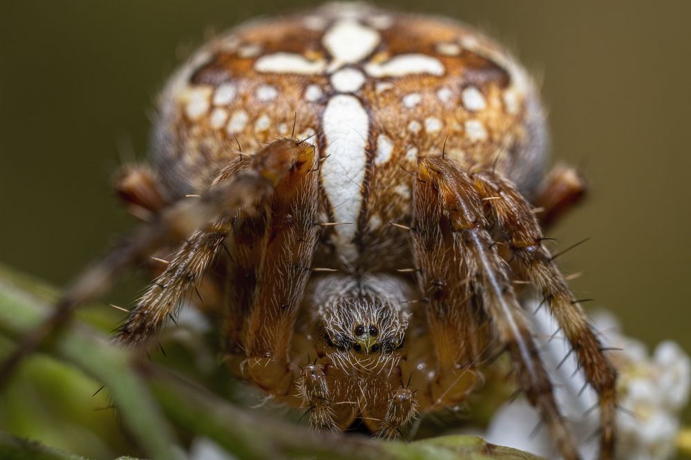 Фотография автора Eimar Kull