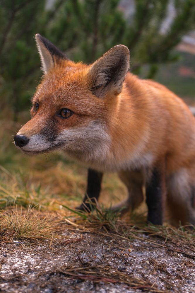 Photograph by Filip Micunda