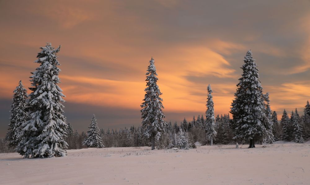 Фотография автора Юрий Кетель