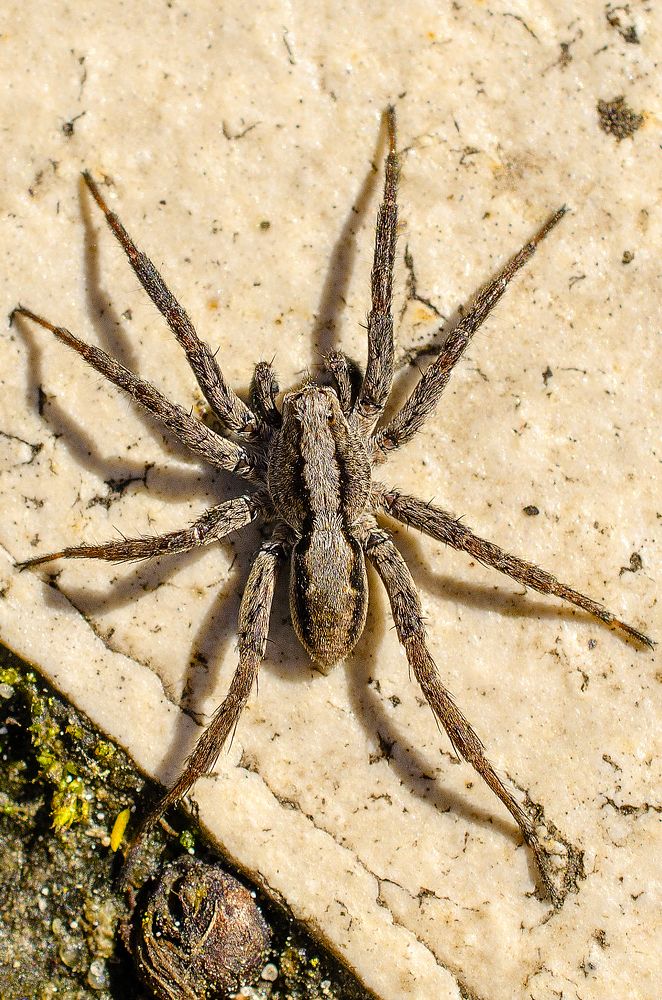 Photograph by Евгений Каримов