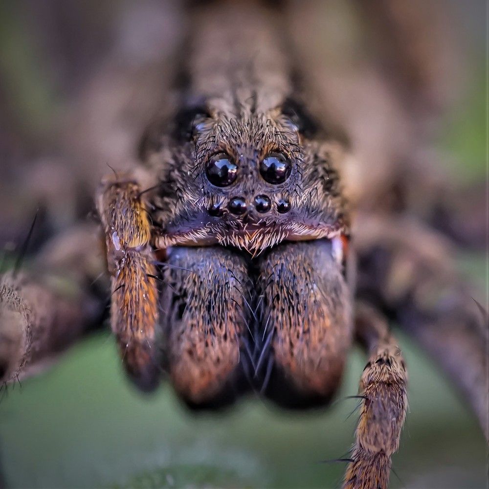 Photograph by Karina Elena Bergagna