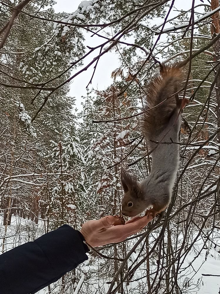 Photograph by Ирина Дегтярева