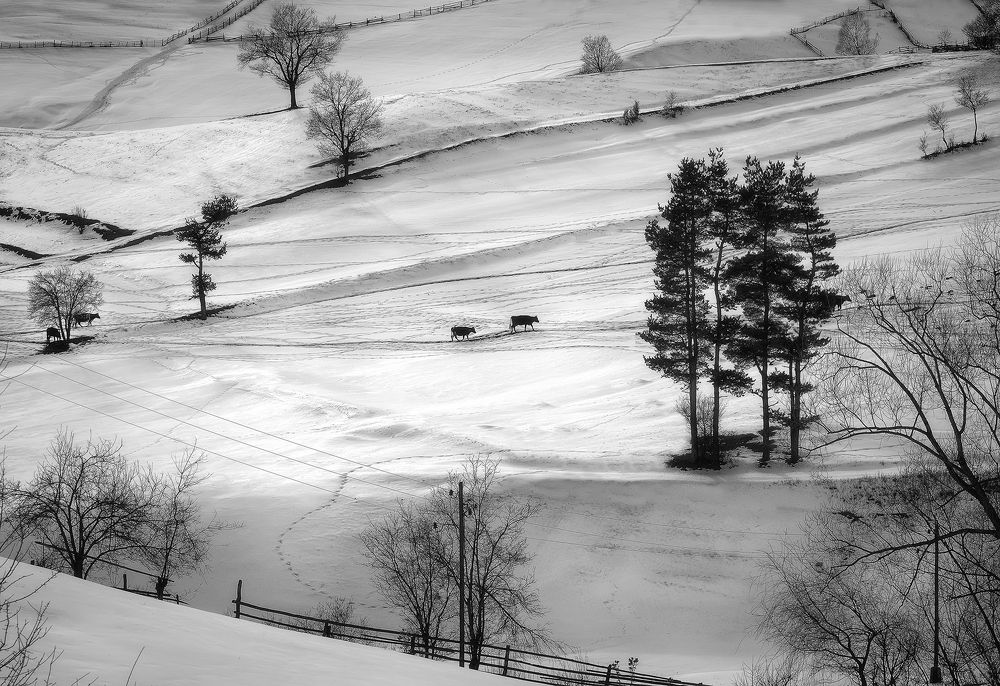 Photograph by Petya Lazarova