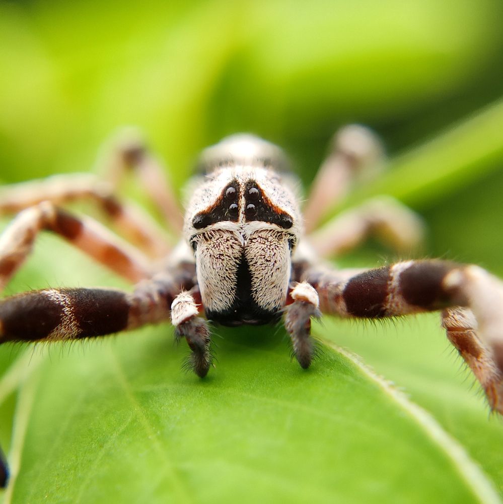 Photograph by Antaryami Das