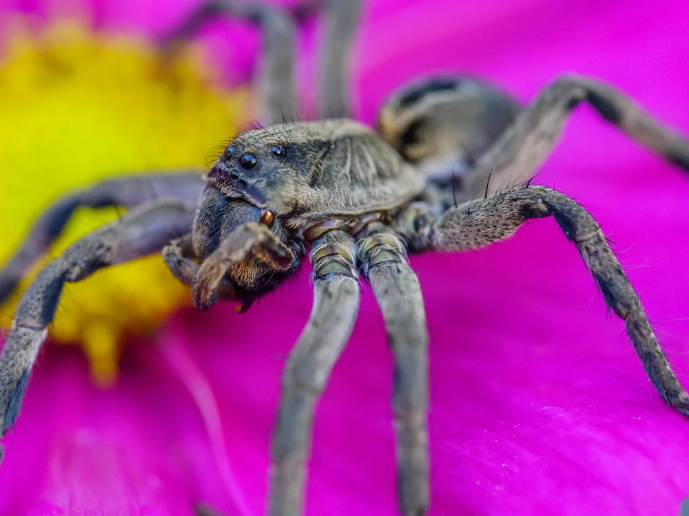 Photograph by Karina Elena Bergagna