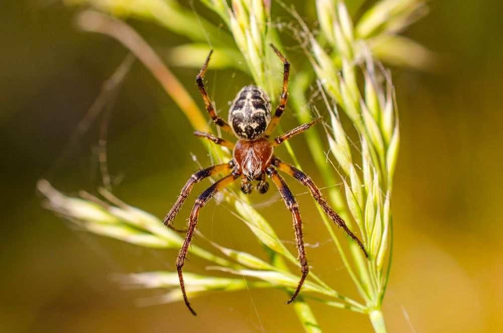 Photograph by Евгений Каримов