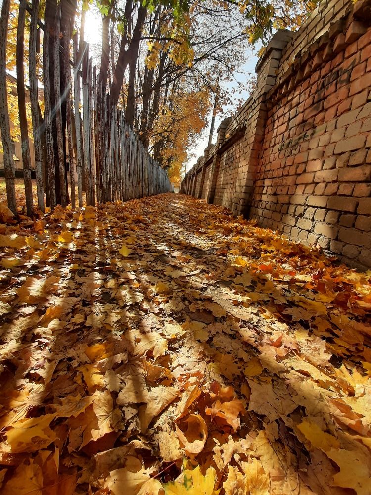 Photograph by Виктор Паклянов