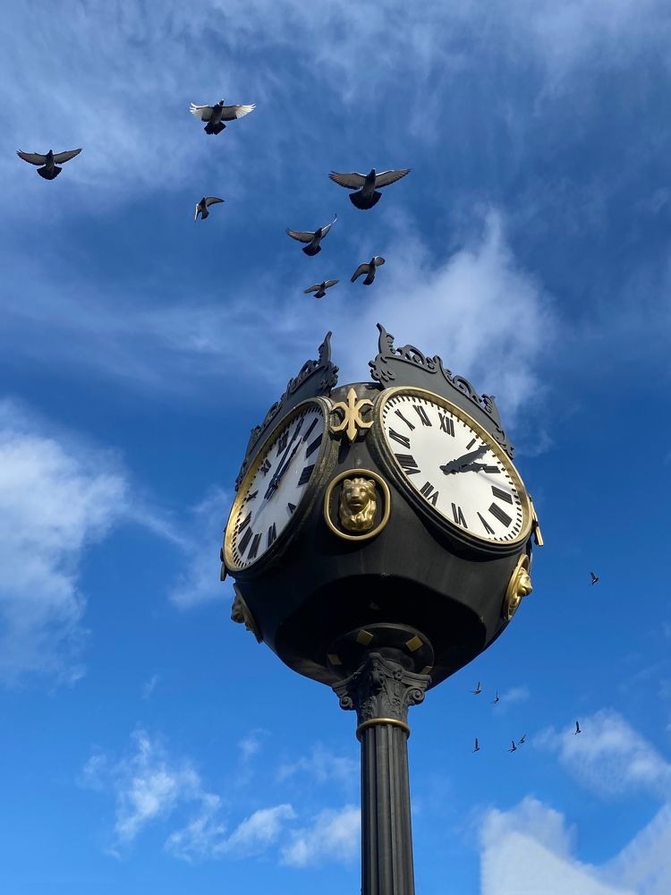 Пролетающее время.