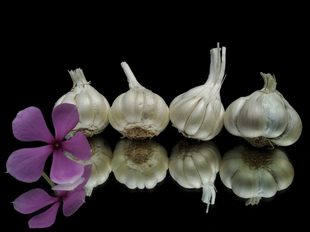 Photograph by Jiban Mazumdar