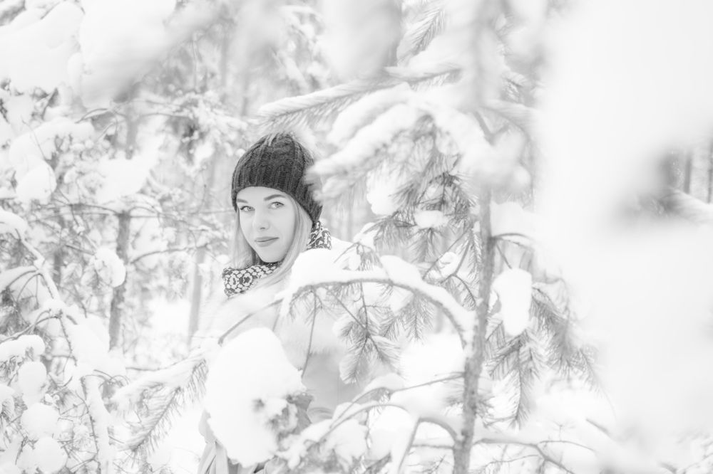 В снежном лесу.