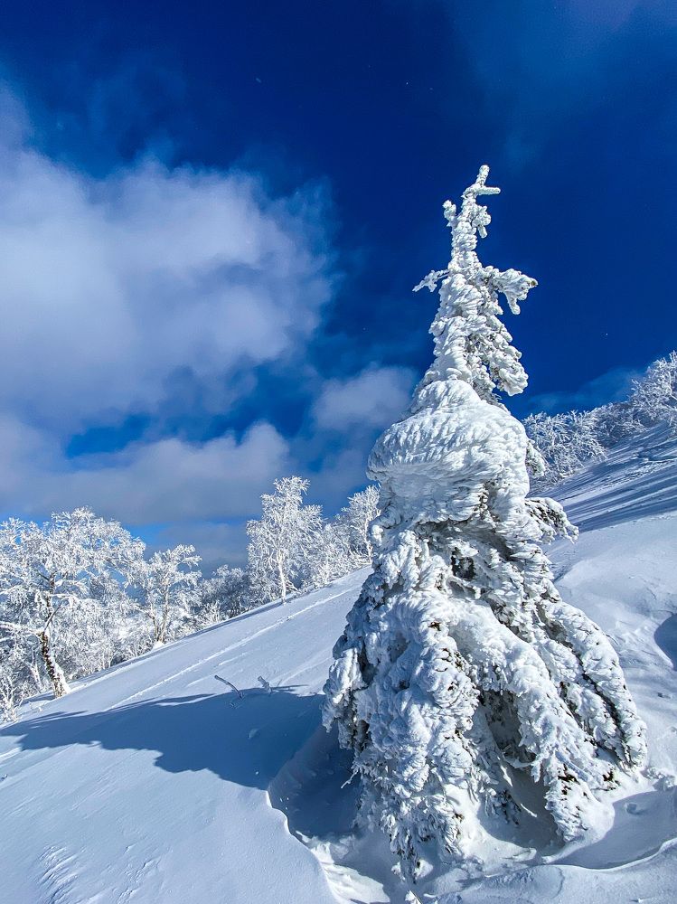 Гора Пушкинская. Остров Сахалин/Mount Pushkinskaya. Sakhalin island