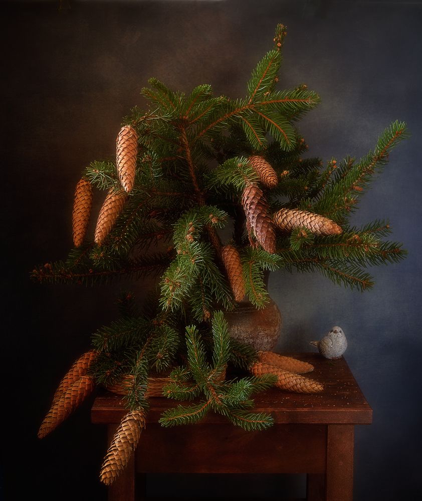 Photograph by Наталия К