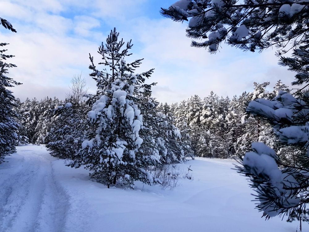 Photograph by Сергей Новиков