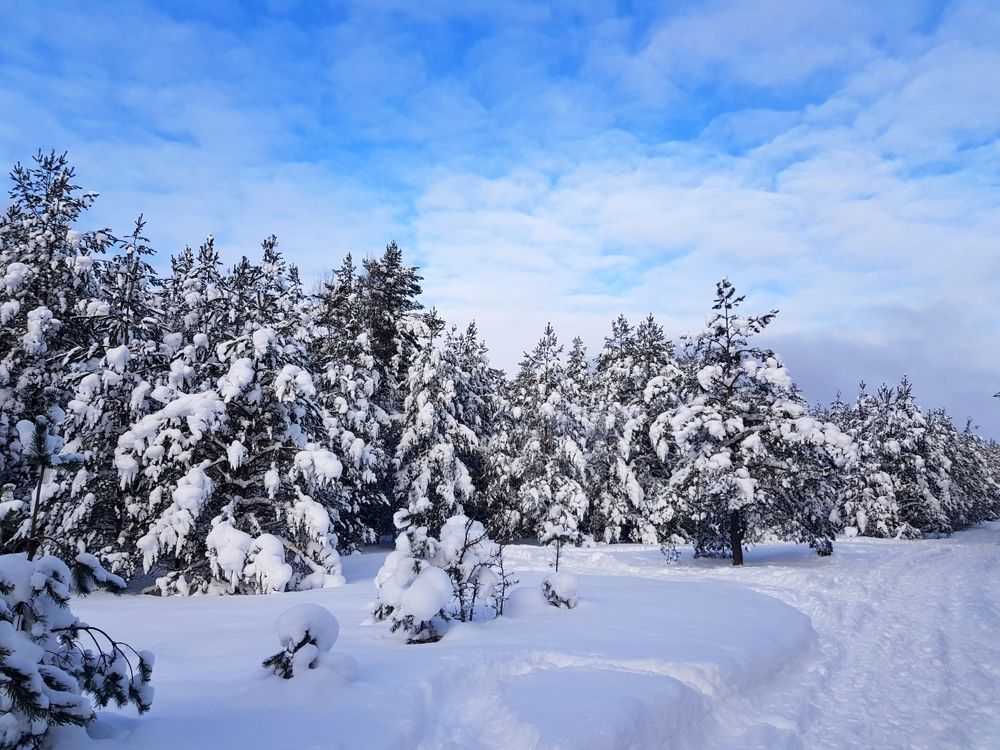 Photograph by Сергей Новиков