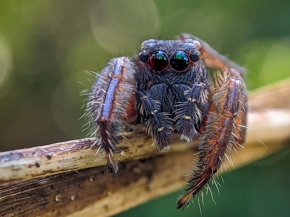 Photograph by pathum Sanjula