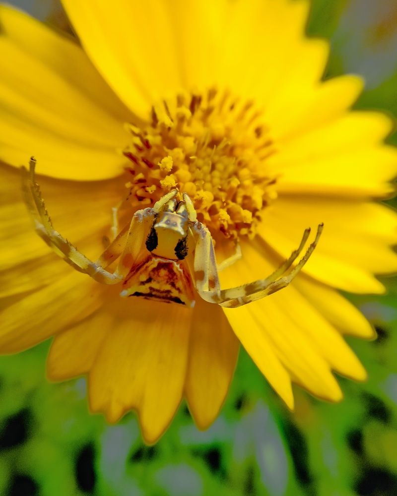 Photograph by Светлана Смирнова