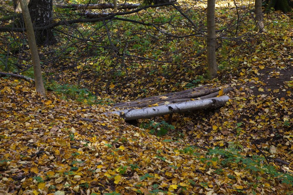 Мосточек...в Удельном парке...СПб...!)