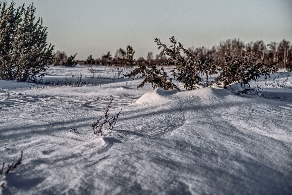 Photograph by Aleksei Degtjarjov