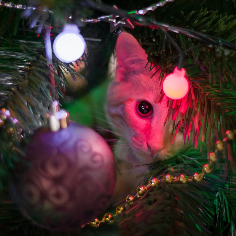 Photograph by Олег Бережных