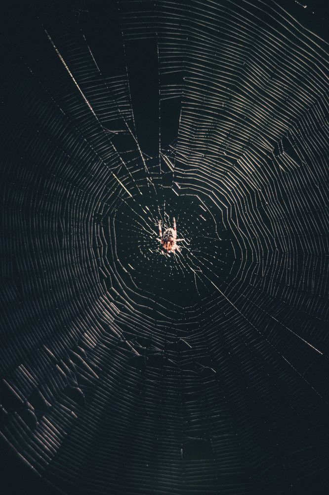 Photograph by Беляев Евгений