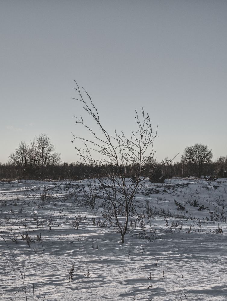 Photograph by Aleksei Degtjarjov