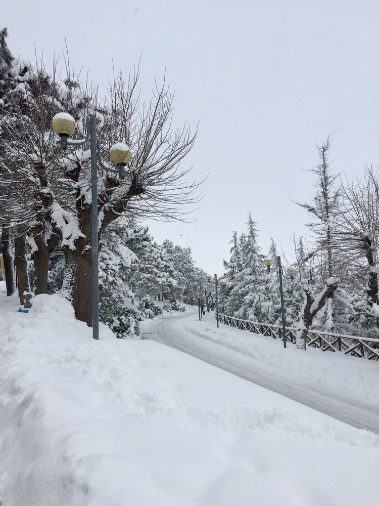 Photograph by Марина Неберекутина