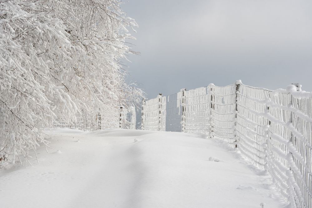 Photograph by Andrei Stefan