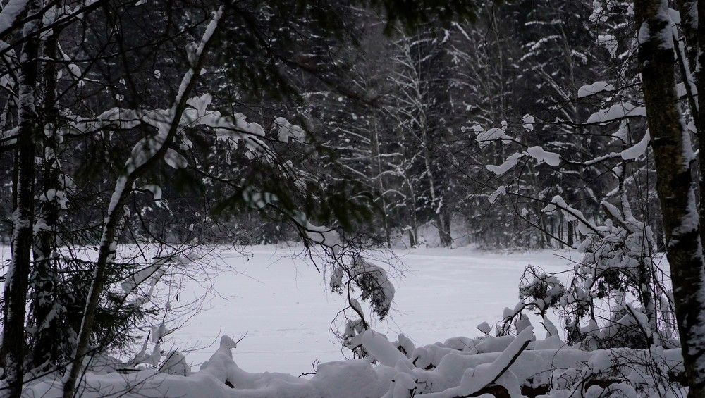 Photograph by Марина Безенкина