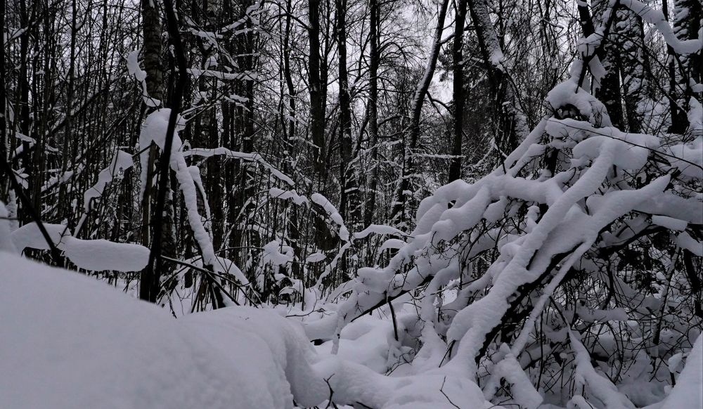 Photograph by Марина Безенкина