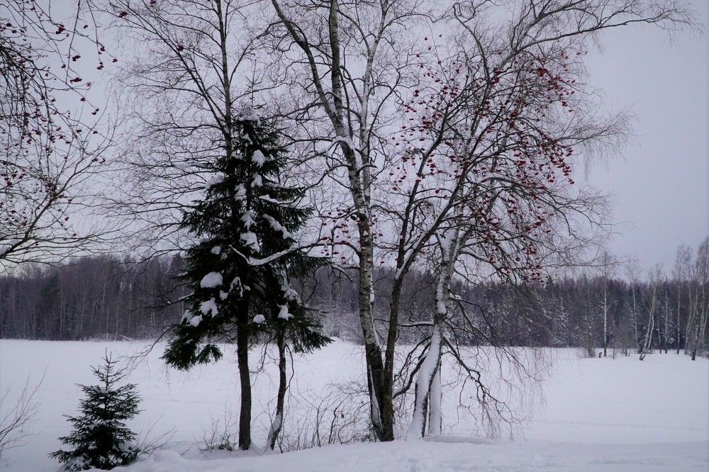 Photograph by Марина Безенкина